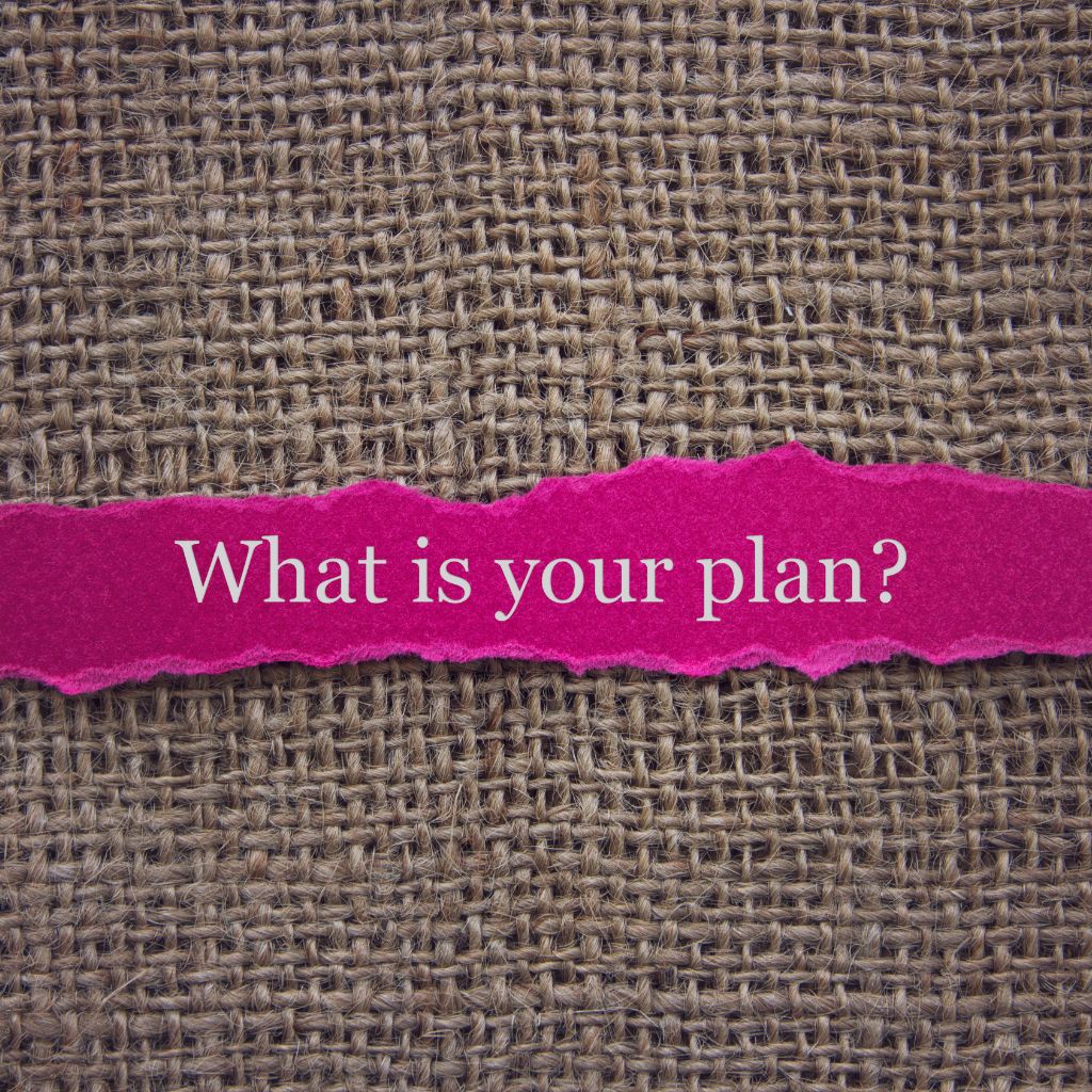 what's your plan